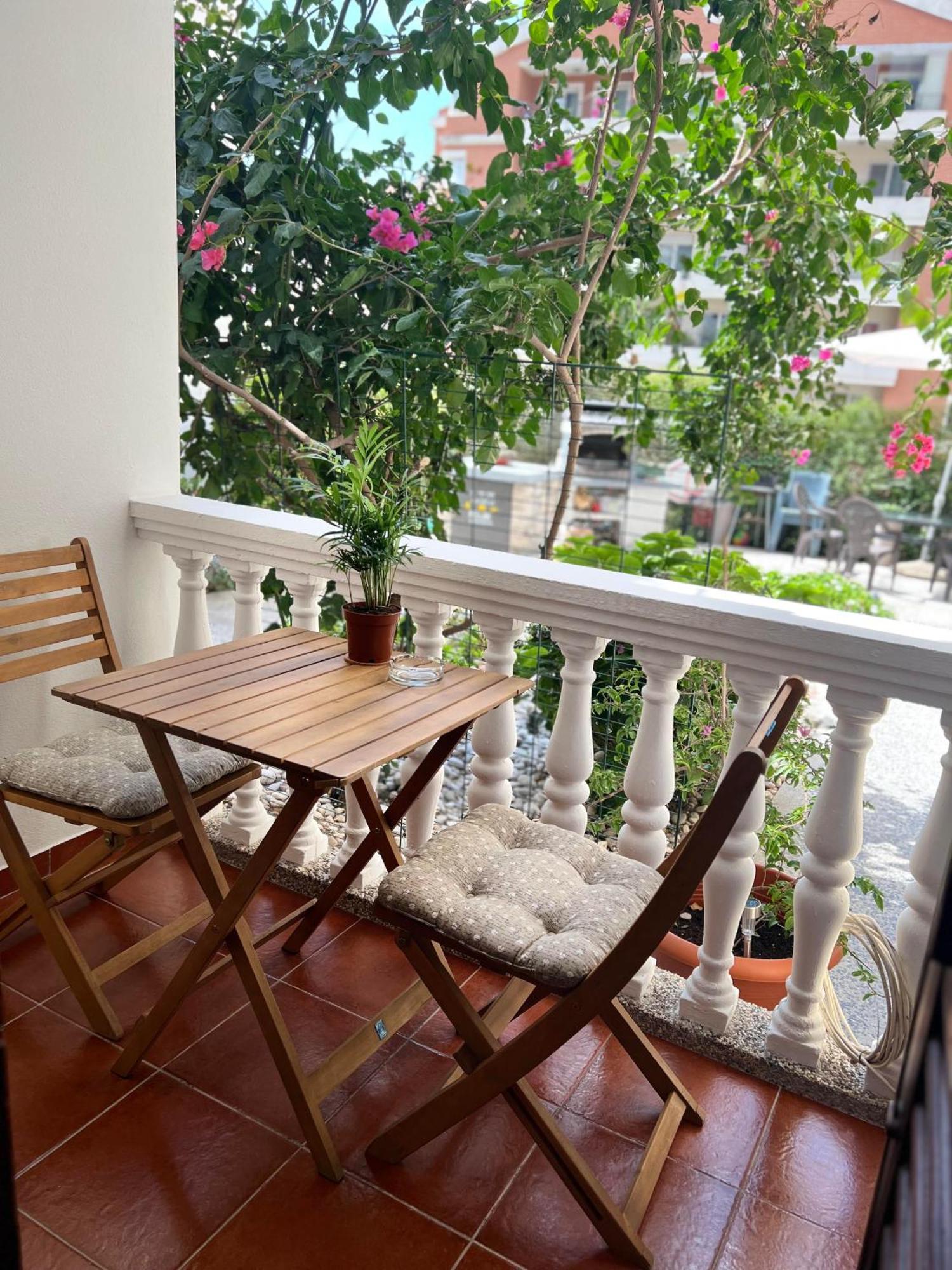 Villa Dionis Budva Exterior foto